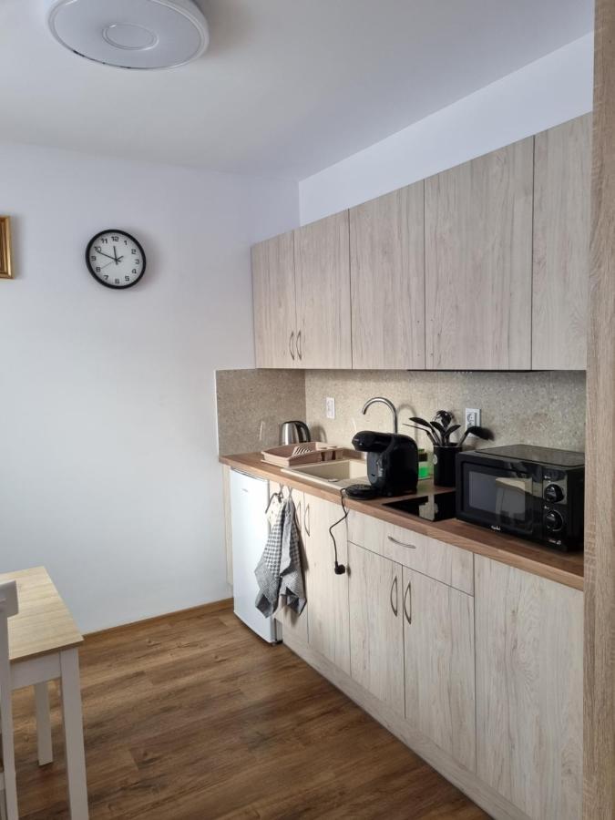Apartmany U Petra Jeseník Extérieur photo